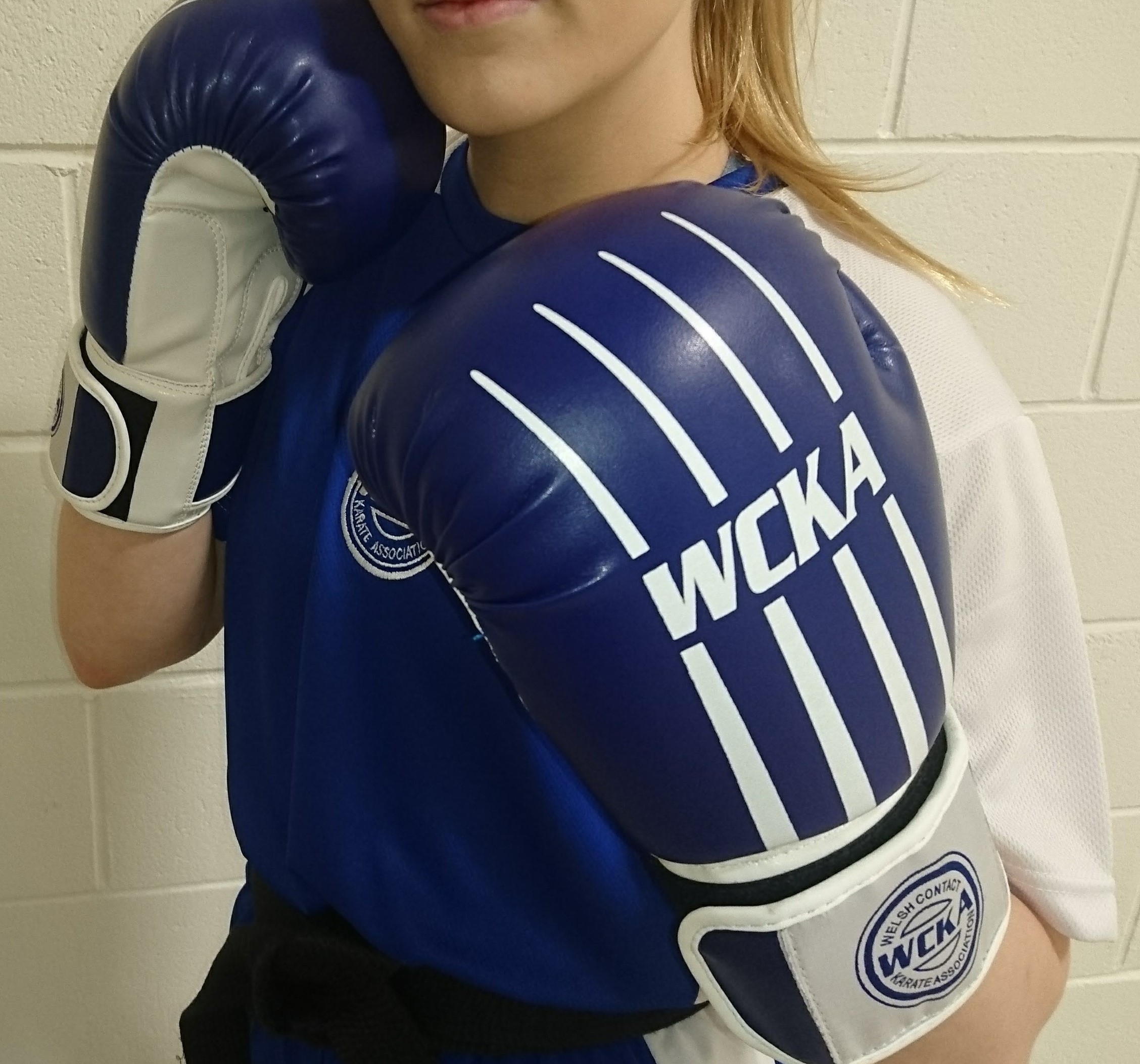 how to pick your next pair of boxing gloves_5194f791 c0a0 41fc bc4f 3b26a8dd563c