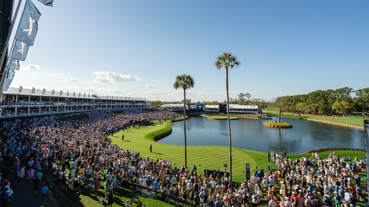 1773416565722_media_1d7ea42a9db6348e10b6d9a5512c2480de7709b79