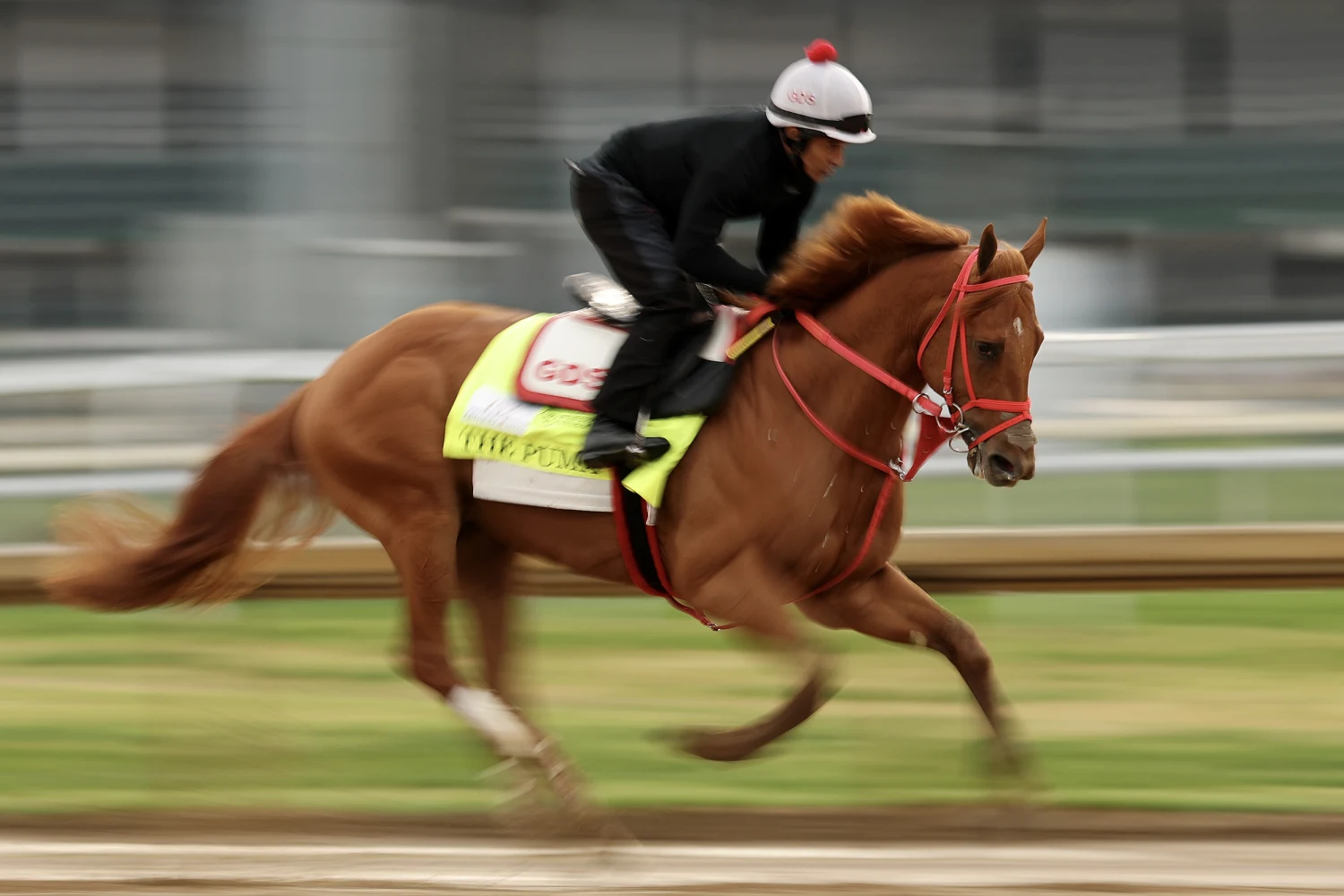 Kentucky Derby 2026: Post Time, Horses, Odds & What to Know for the 152nd Run for the Roses